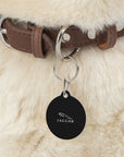 Black Jaguar Pet Tag™