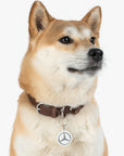 Mercedes Pet Tag™