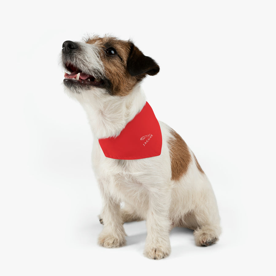 Red Jaguar Pet Bandana Collar™