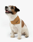 Brown McLaren Pet Bandana Collar™