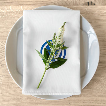 Volkswagen Table Napkins (set of 4)™